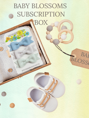 flat lay of subscription box for babies
