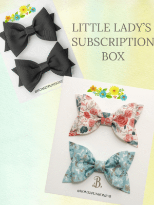 flat lay hair accessories for the subscription box for girls